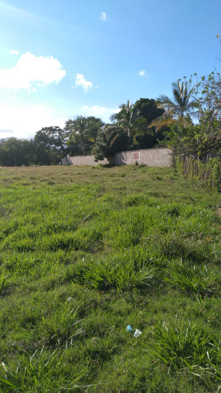 solares y terrenos - 14 Tareas en Jarabacoa