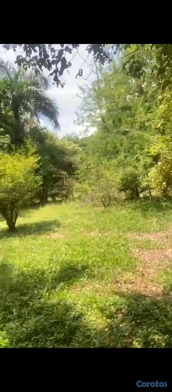 solares y terrenos - Venta de terreno  2