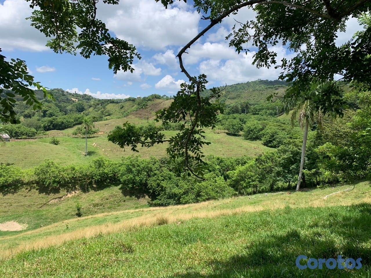 solares y terrenos - finca ganadería en villa trina  3