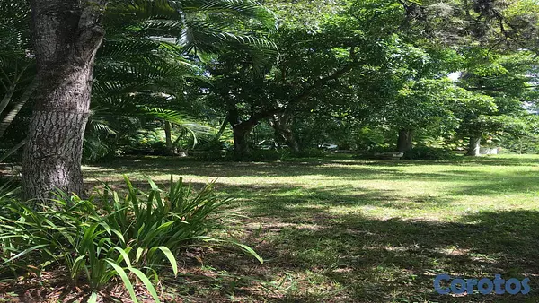 solares y terrenos - Venta Terrenos y Finca Km 25 Autopista  Duarte 3