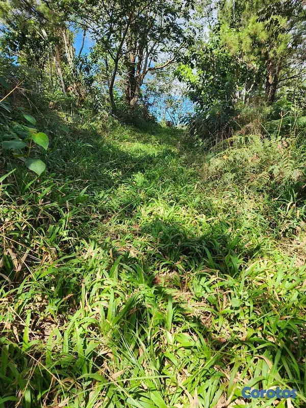 solares y terrenos - Terreno en venta en Constanza, La Vega 4