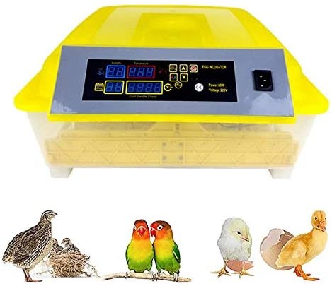animales y mascotas - Incubadoras de 48 huevos digital  automatico para Pollo Pato Aves de corra 2