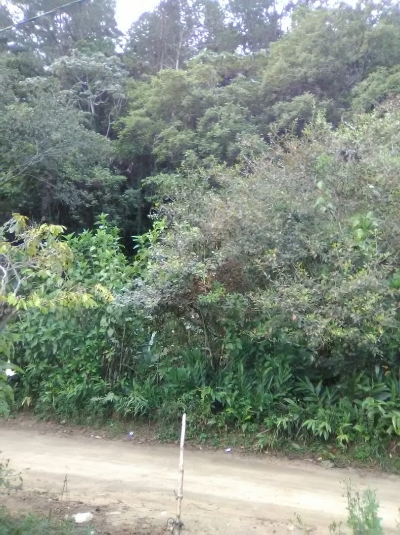 solares y terrenos - Jarabacoa en la jagua 61tareas de tierra.
Lugar paradisíaco.  4
