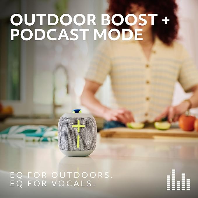 otros electronicos - WONDERBOOM 4