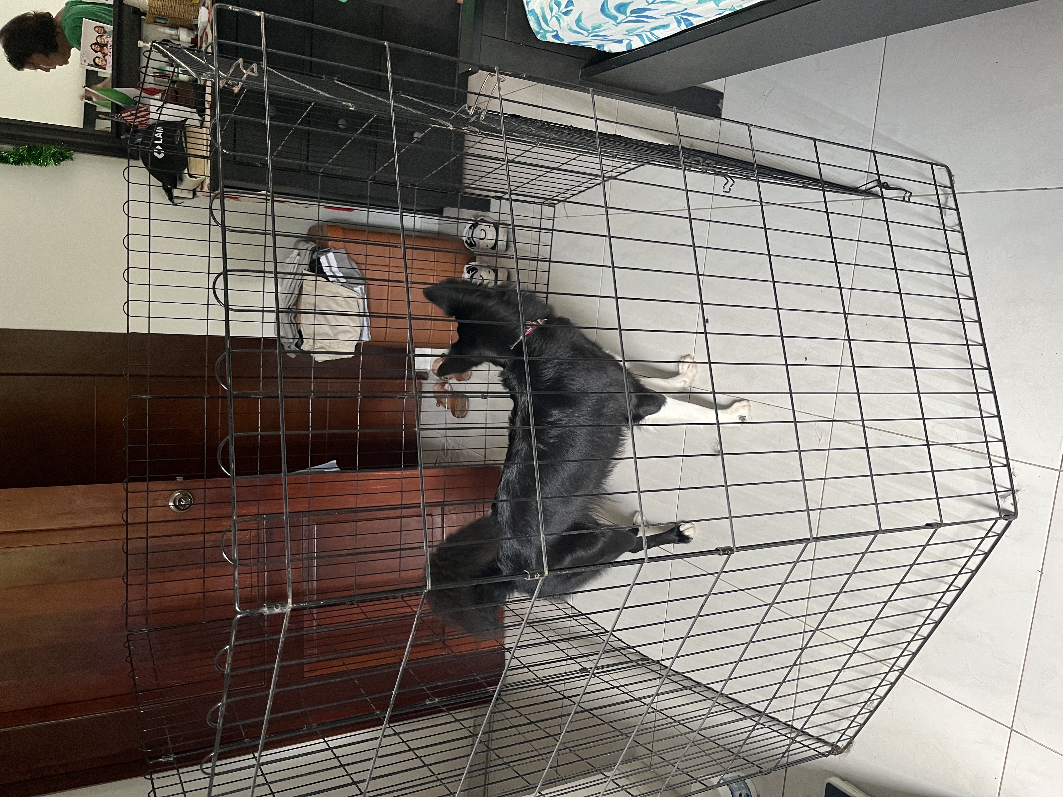 animales y mascotas - vendo corral para perro