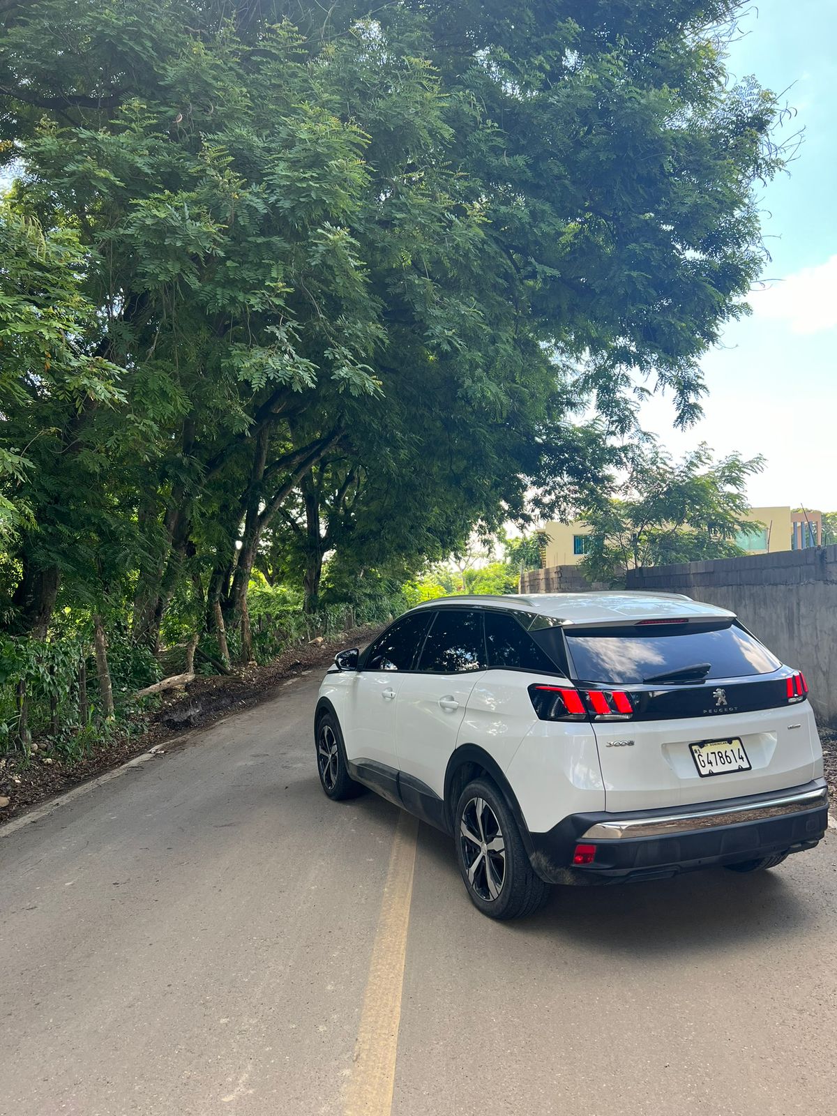 jeepetas y camionetas - Peugeot 3008 2021 2