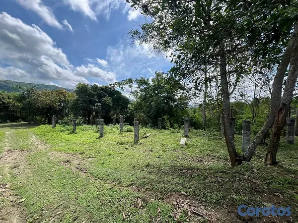 solares y terrenos - Vendo Finca en Yamasa, Monteplata 7