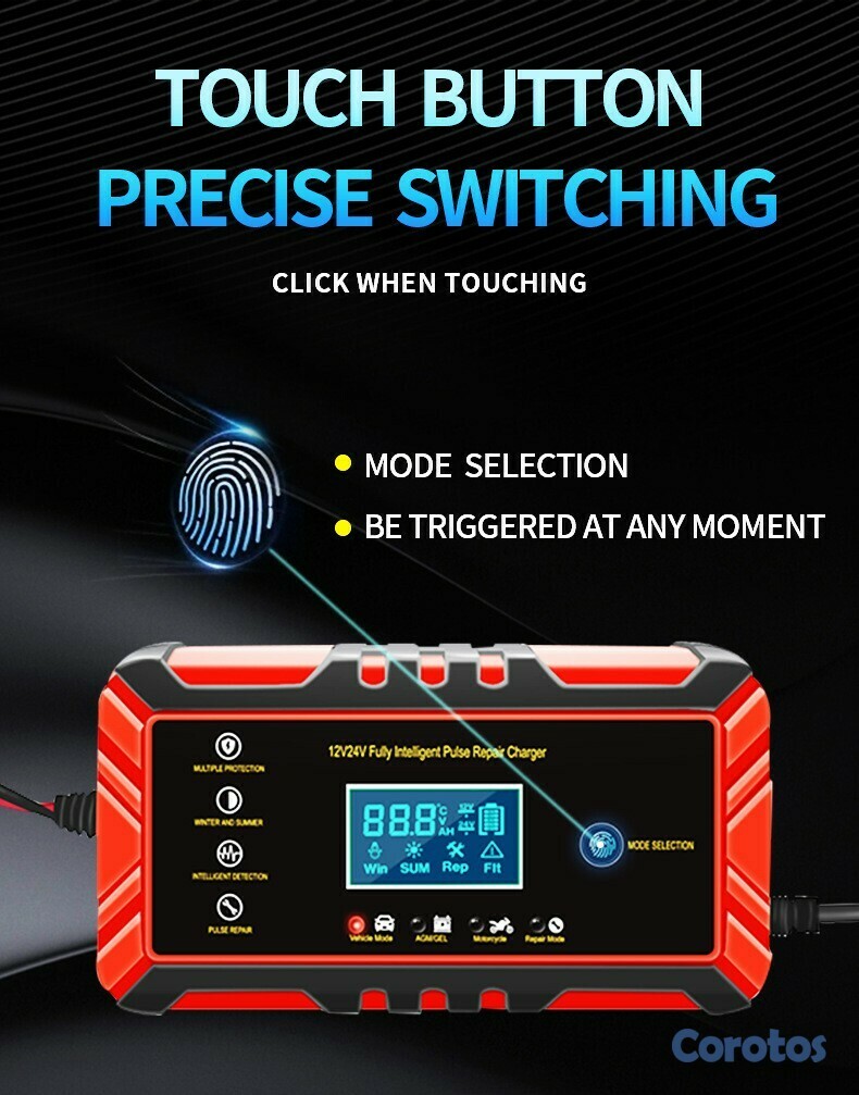 plantas e inversores - Cargador de bateria de 12v a 24v 