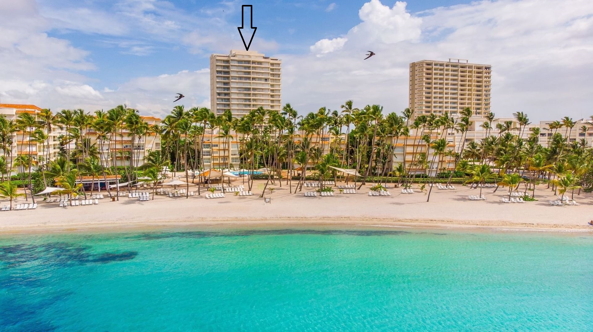 penthouses - Penthouse en Torre Hemingway de 500 metros  0