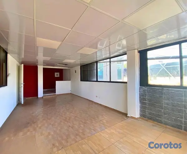 oficinas y locales comerciales - LOCAL COMERCIAL 10