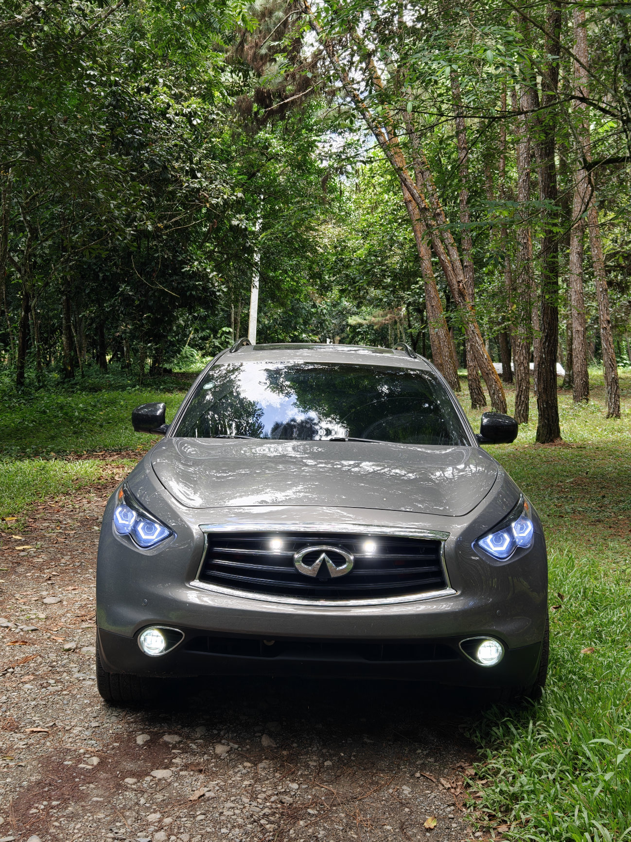 jeepetas y camionetas - Infiniti QX70 (2015)