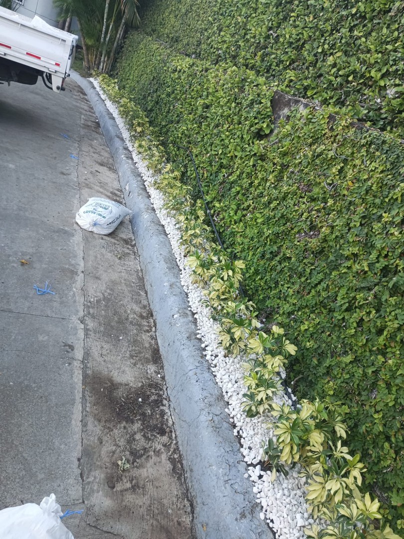 servicios profesionales -  Jardinería Empresarial 2