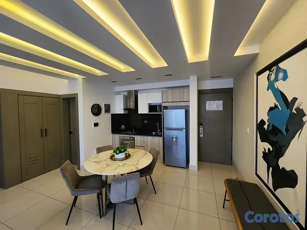apartamentos - Apartamento De 1 Habitación De Lujo Con Rooftop en 5