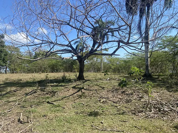 solares y terrenos - solar en el Coroso próximo al Cupey  10