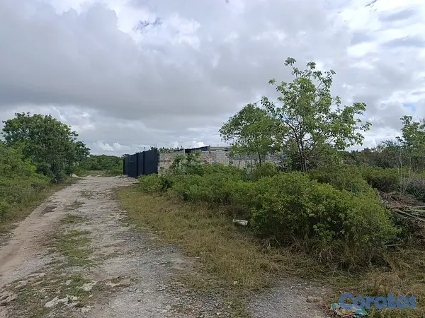 solares y terrenos - Solar venta bravo punta cana 8