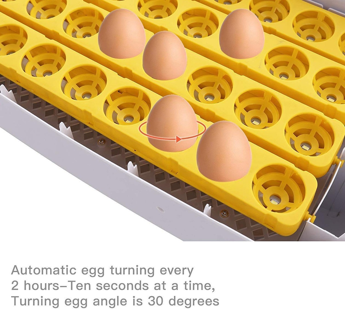 equipos profesionales - Incubadoras de 48 huevos digital automatico para Pollo Aves de corra 6