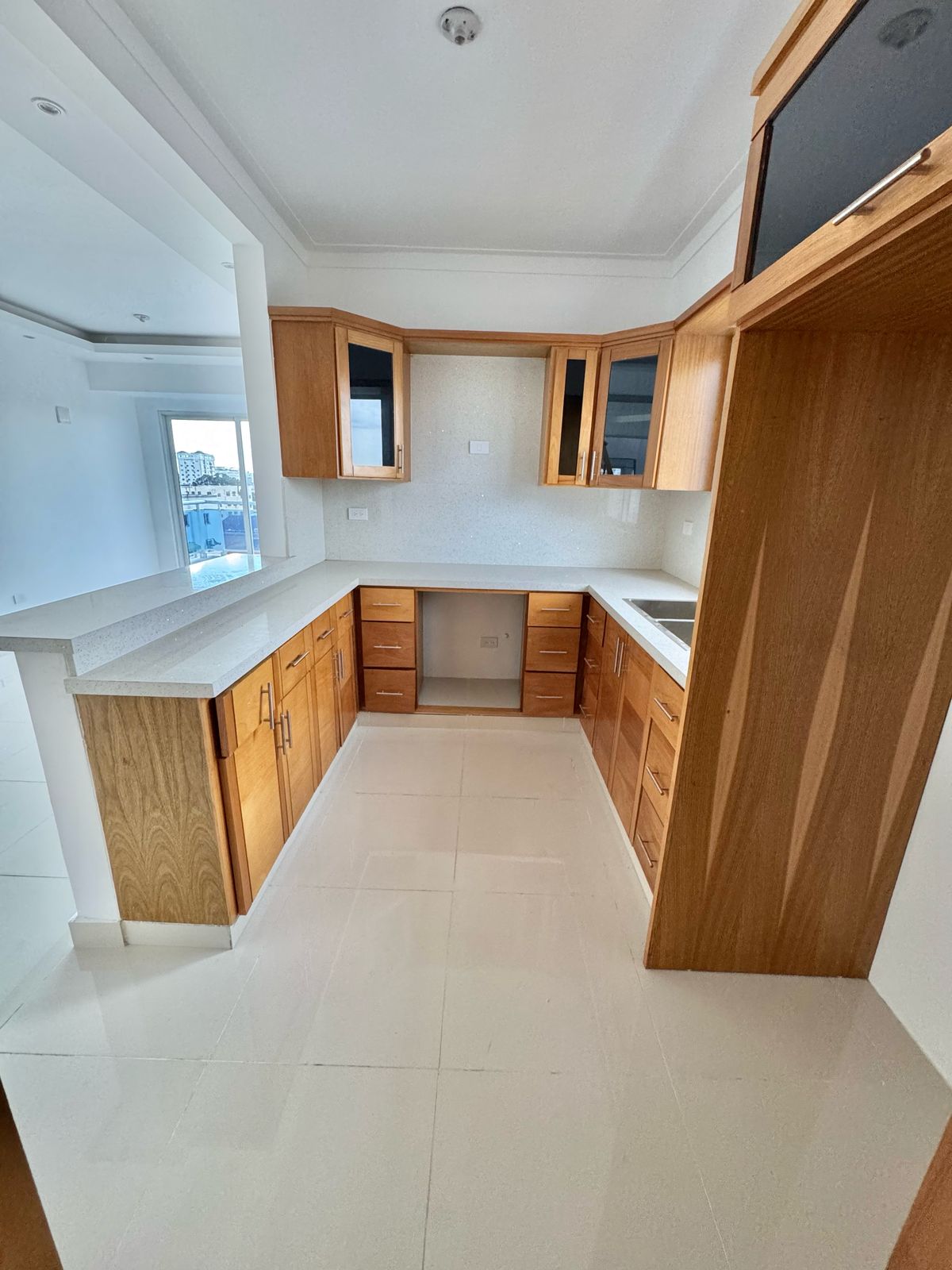 penthouses - Vendo Pent-house en El Millón  4