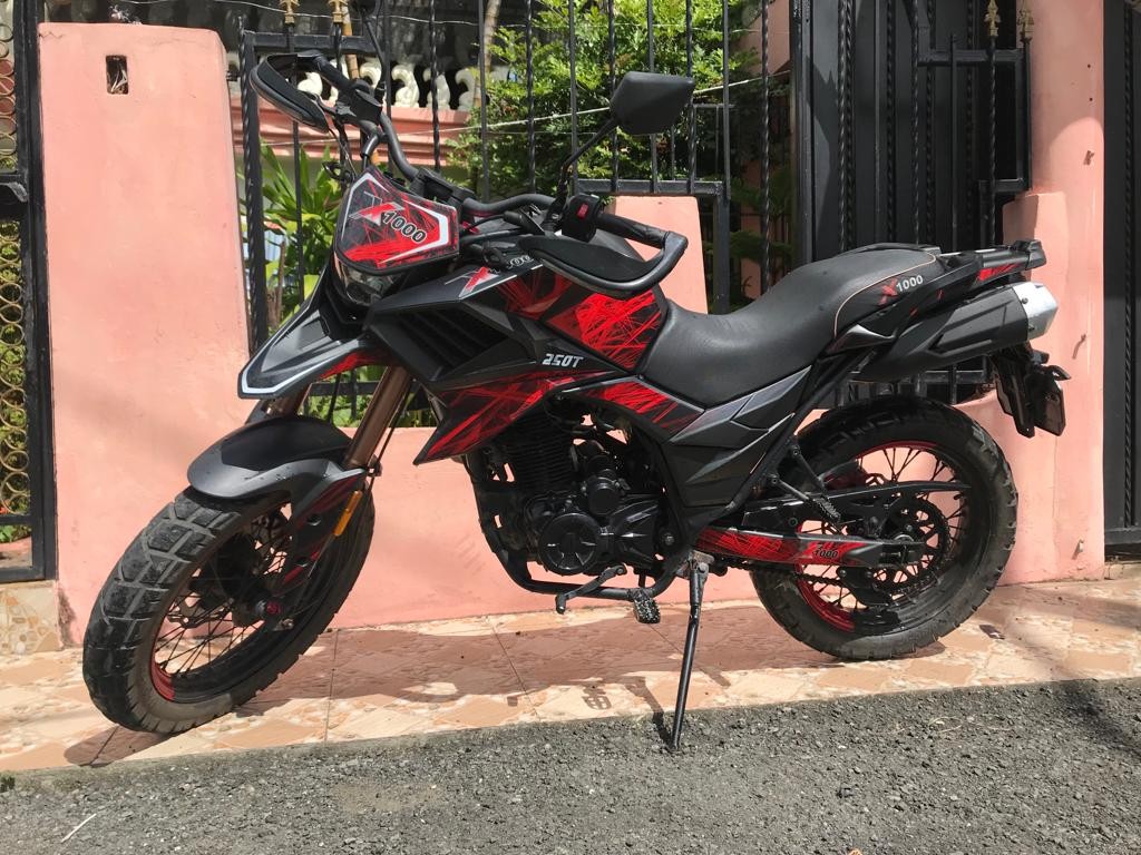 motores y pasolas - Motor X1000 250T
