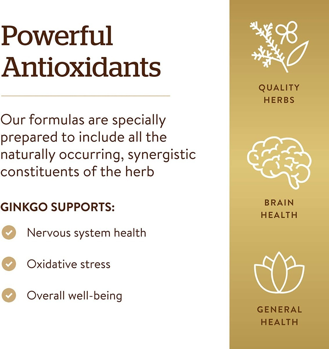 Salud y Equipamiento Médico - Super Ginkgo Biloba Solgar Cerebral Sistema Nervioso 120 Cap 4