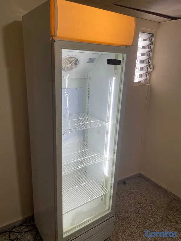equipos profesionales - Freezer exhibidor 14 pies  4
