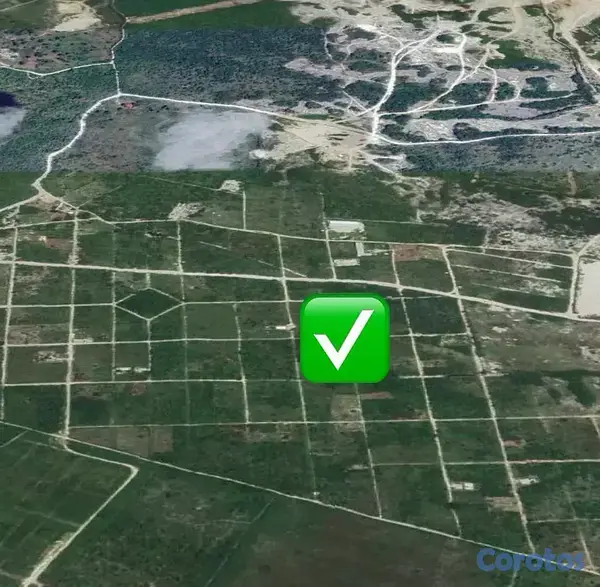 solares y terrenos - Punta Cana – Caribbean Bavaro – Lotes de terrenos 2