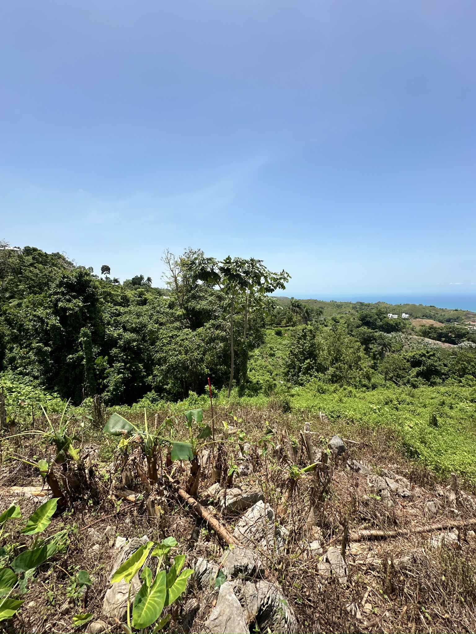 solares y terrenos - Terreno en las montañas con vista al mar, Samana 4
