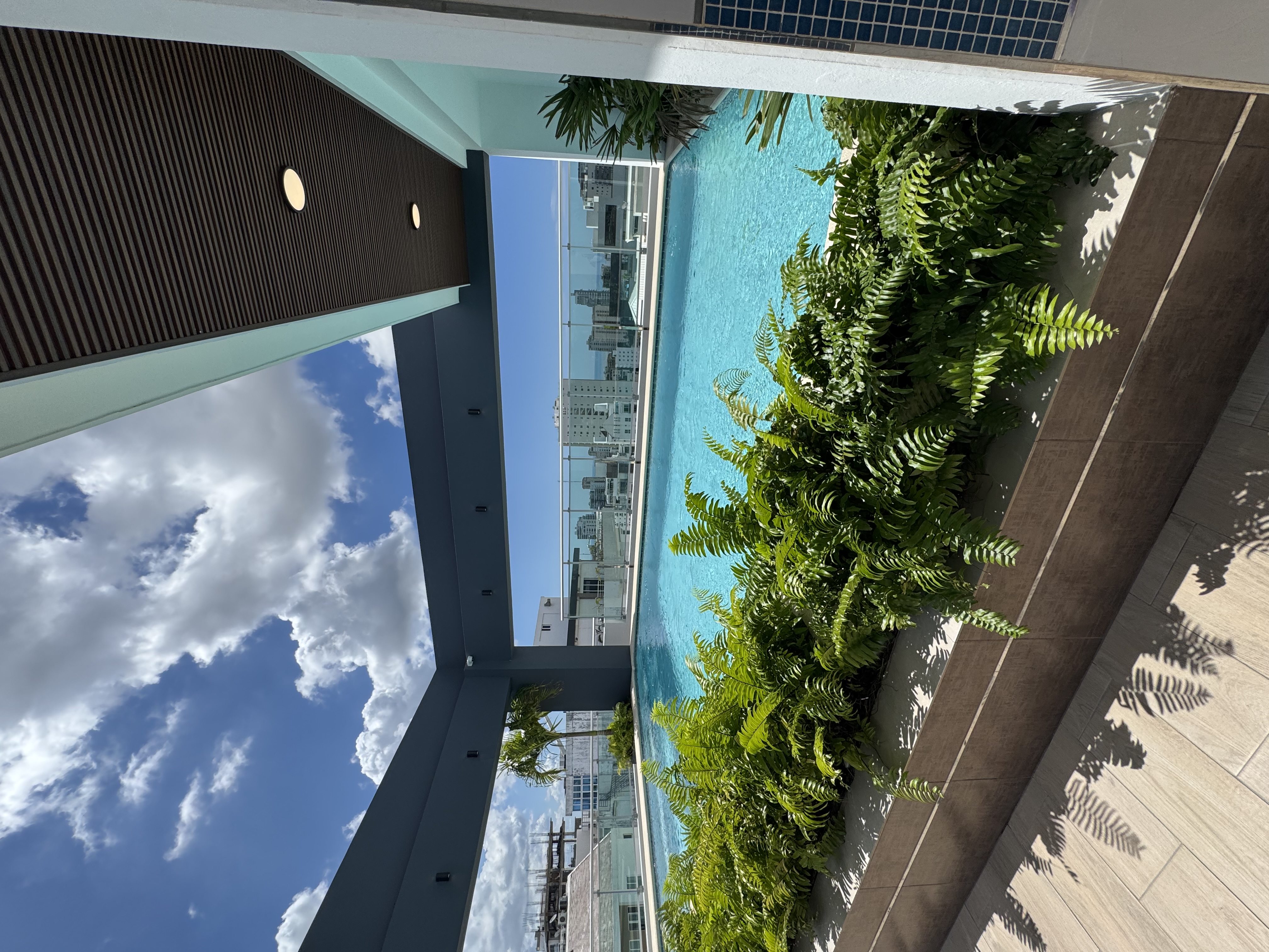 apartamentos - Alquiler apto a Estrenar, Torre Villa Palmera Naco 5