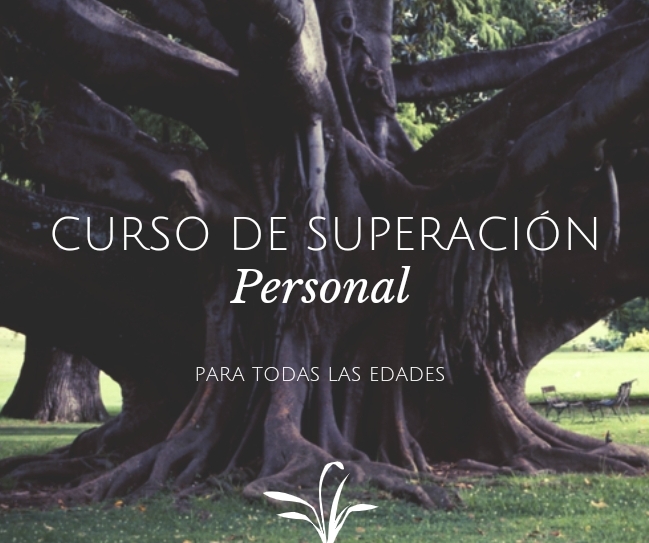 cursos y clases - Cursos virtuales 