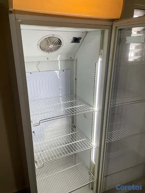 equipos profesionales - Freezer exhibidor 14 pies  5