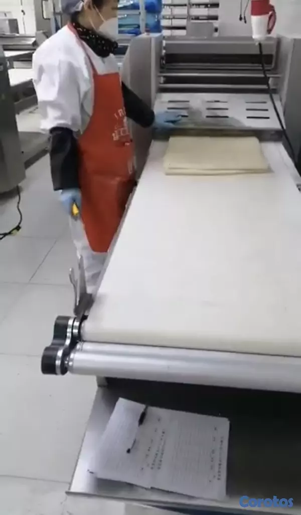 servicios profesionales - 🥐 LAMINADORA INDUSTRIAL DE MASA 🥖
 4