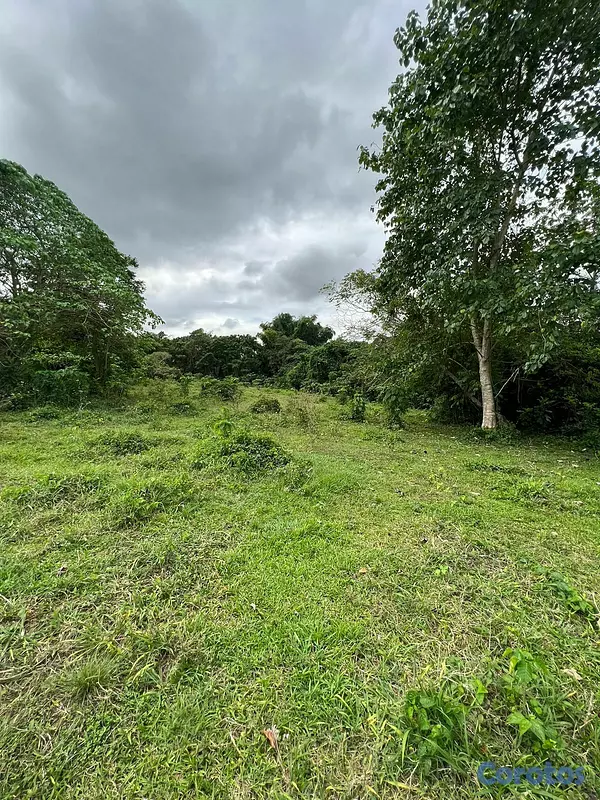 solares y terrenos - FINCA PARA DESARROLLO Y GANADERIA DE ALTO VALOR PR 3
