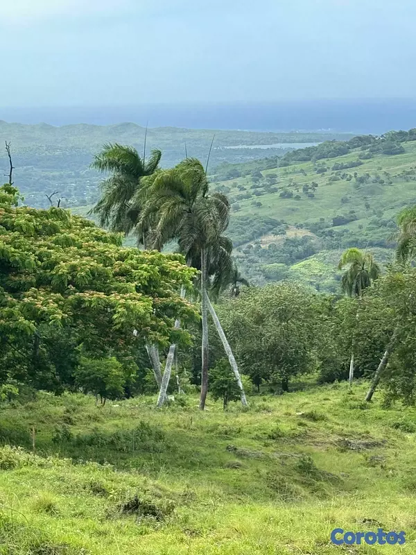 solares y terrenos - 🌿 Tropical Breeze Cupey – Proyecto Ecológico  4