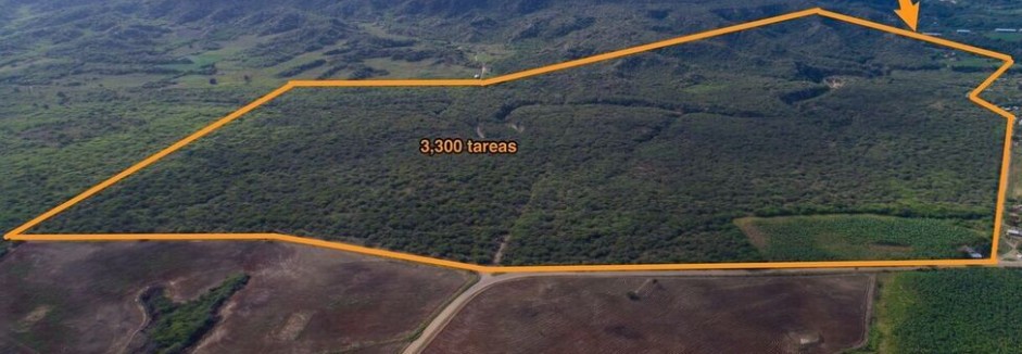 solares y terrenos - Finca de 3,300 tareas en Mao
 0