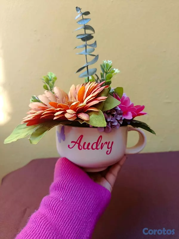 servicios profesionales - Tazas personalizadas para mamá  4