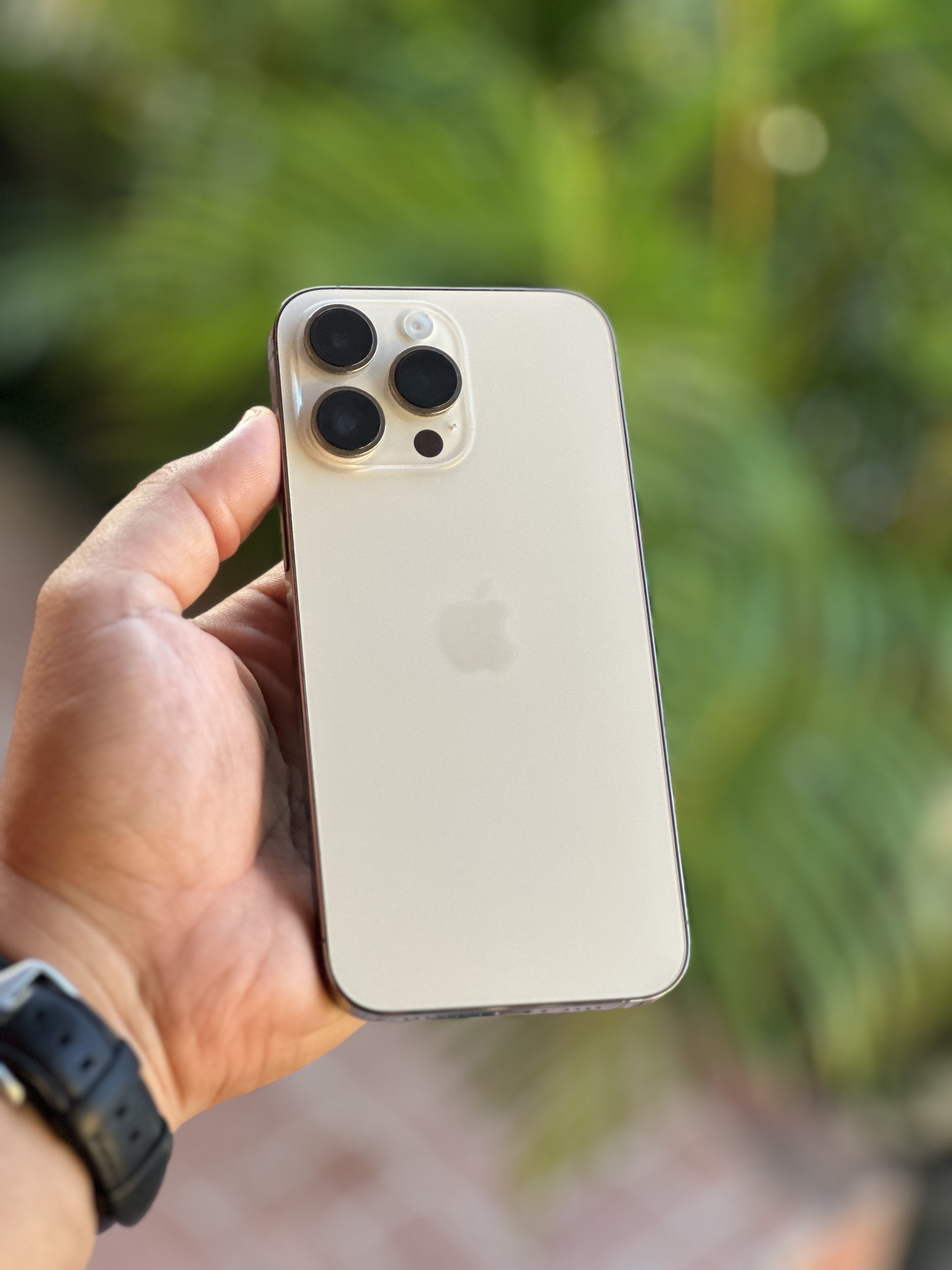 celulares y tabletas - iPhone 14 Pro Max 128GB Gold Factory como nuevo 