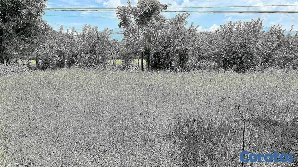 solares y terrenos - VENDO SOLAR EN JARABACOA 5