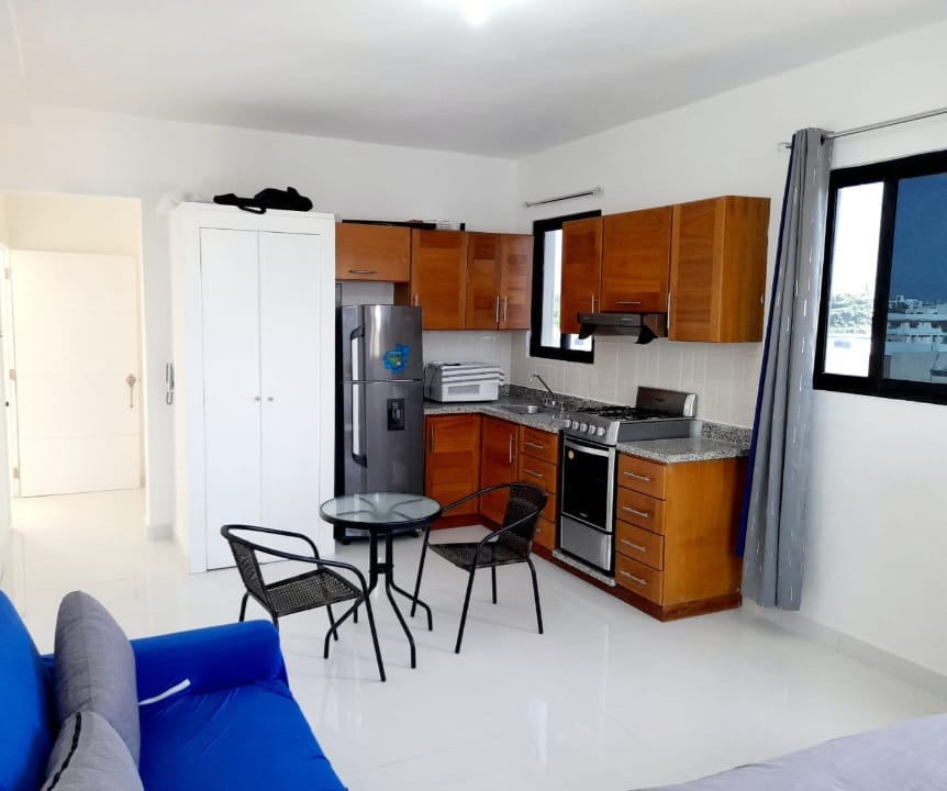apartamentos - ALQUILO   O VENDO APARTAMENTO AMUEBLADO  0
