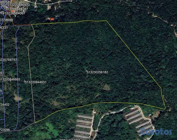 solares y terrenos - 400 Tareas en Jarabacoa, Oportunidad unica en la m 1