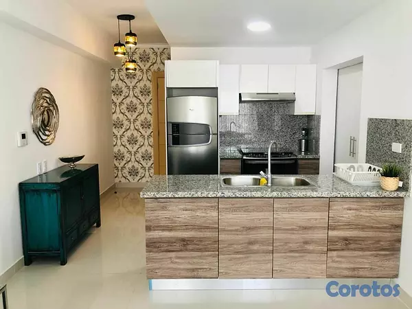 apartamentos - Apartamento en Alquiler en Piantini Amueblado de U 11