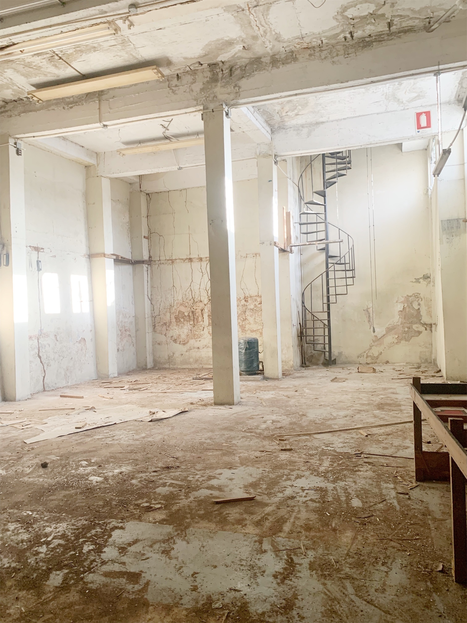 oficinas y locales comerciales - Local amplio en zona colonial 5