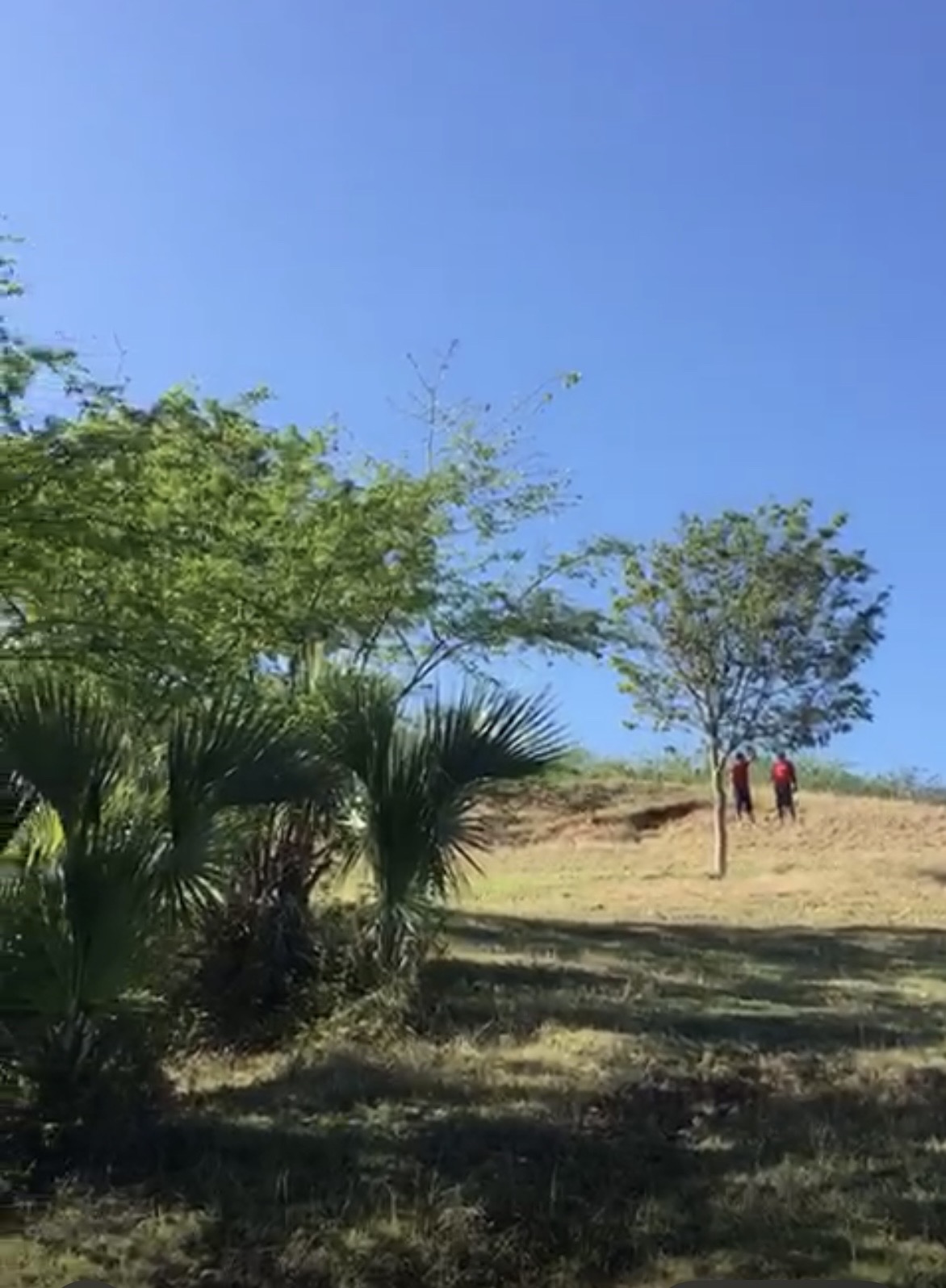 solares y terrenos - Finca de 70 Tarea en Mata de Jobo -Santiago Rodriguez 0