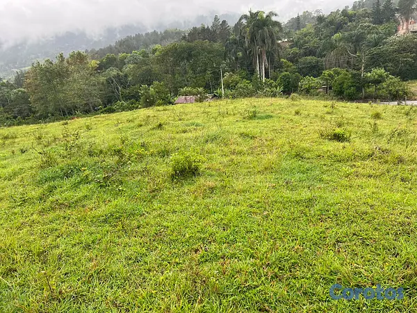 solares y terrenos - Terreno en jarabacoa 4
