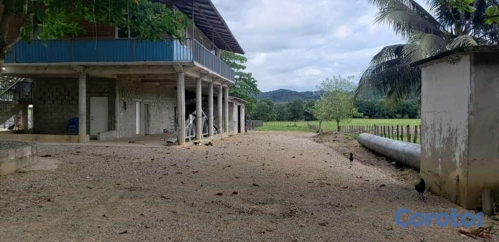 solares y terrenos - finca ganadera  en la Vega  2