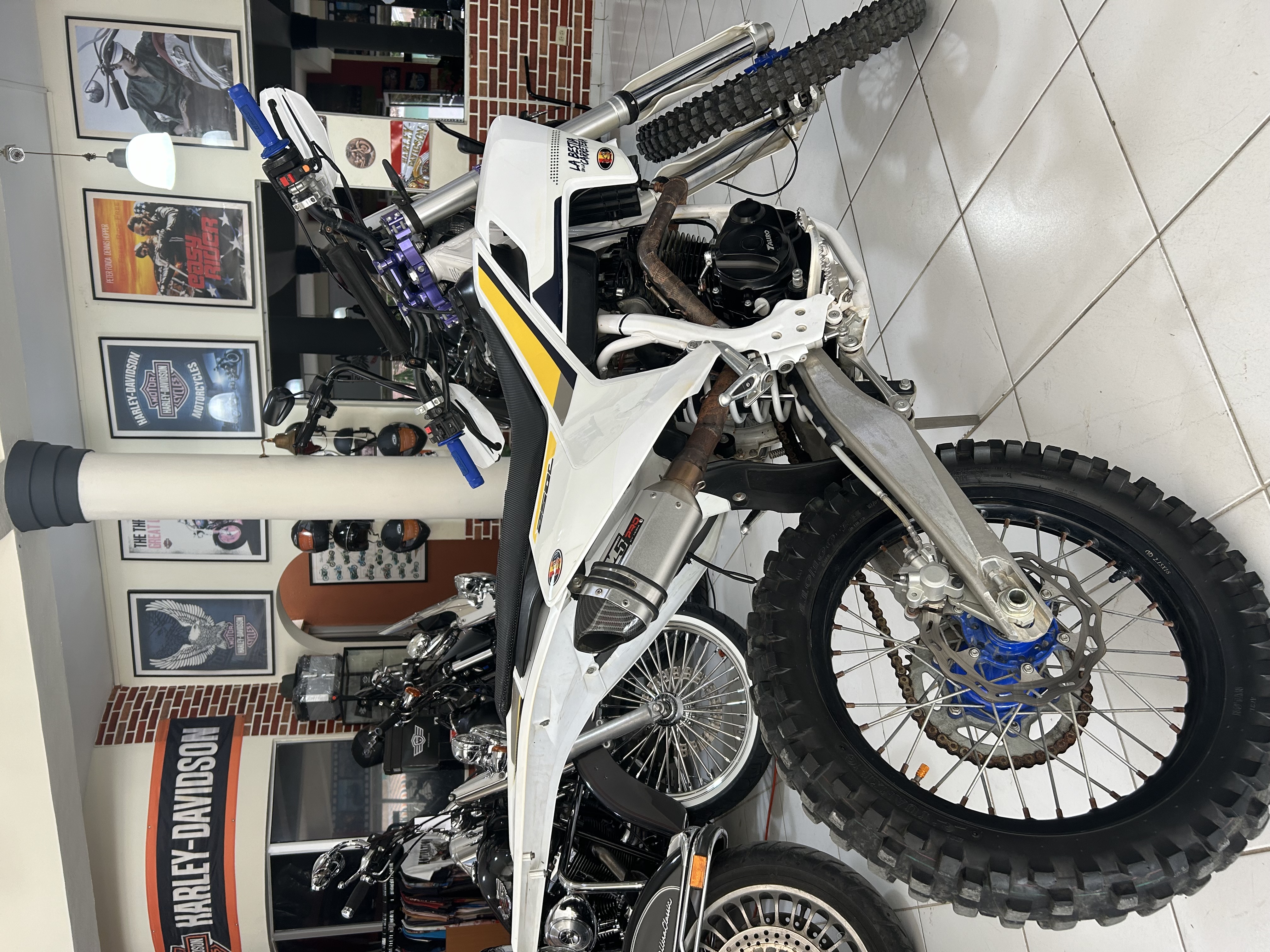 motores y pasolas - Tauro Zx 250 año 2021 7