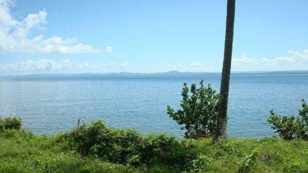 solares y terrenos - Se vende terreno en Samaná 1