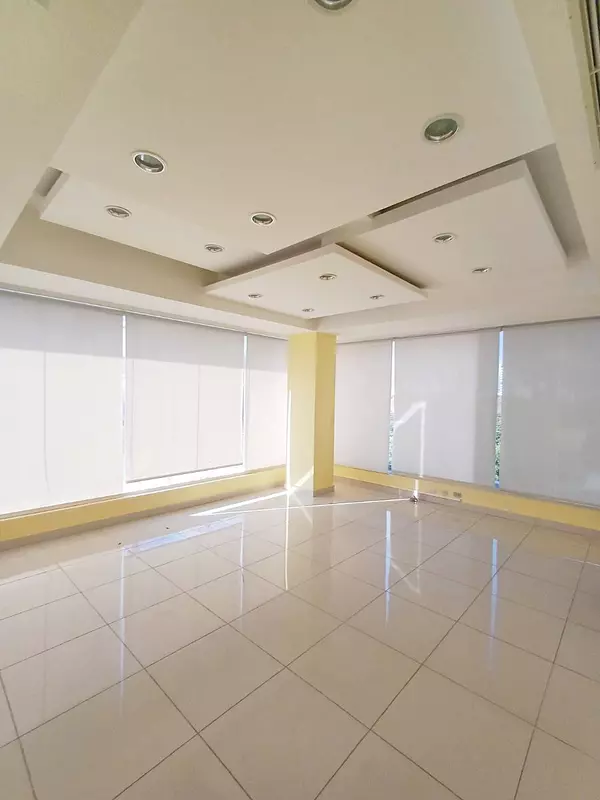 oficinas y locales comerciales - Local comercial y corporativo  5