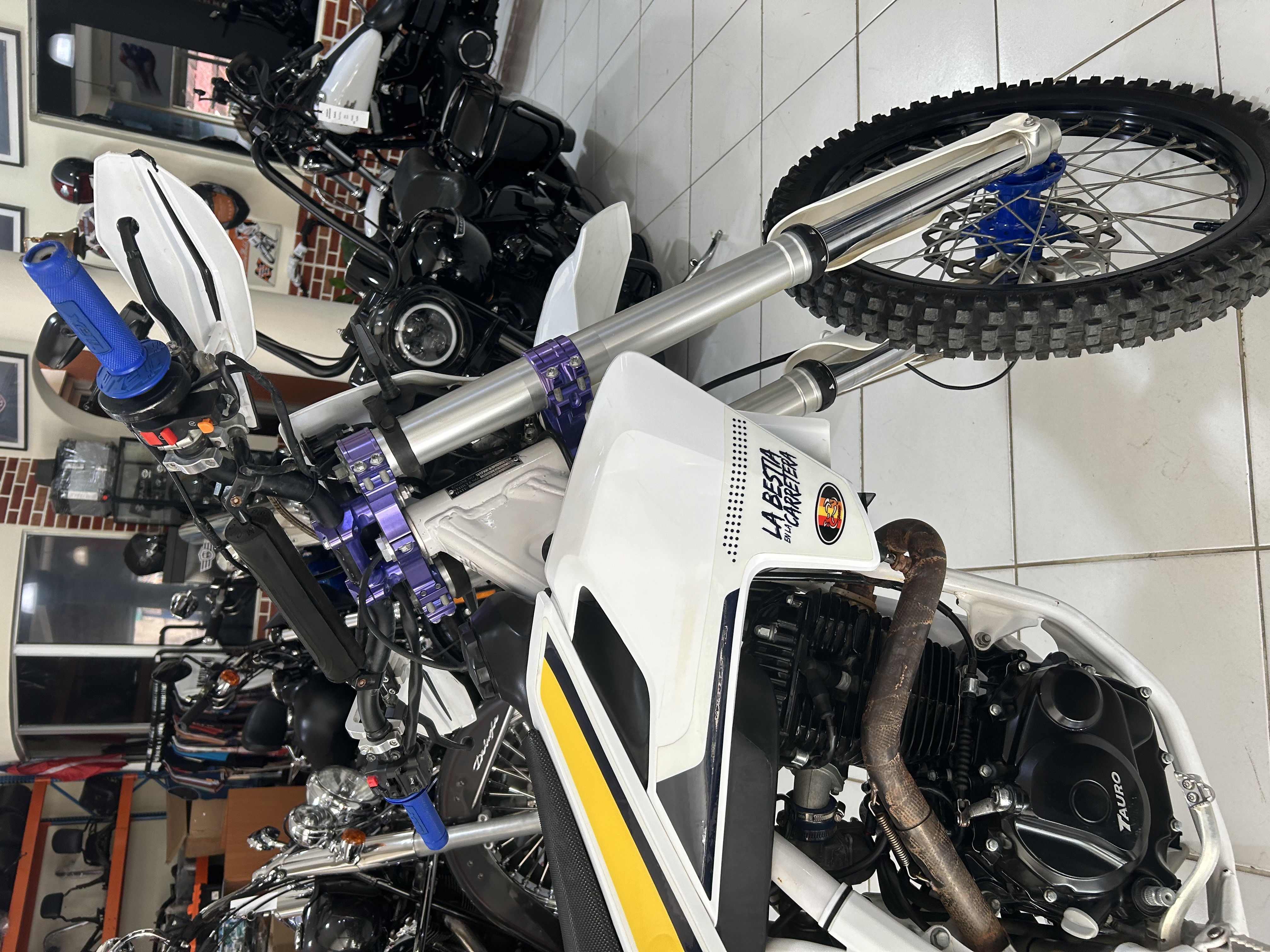 motores y pasolas - Tauro Zx 250 año 2021 5