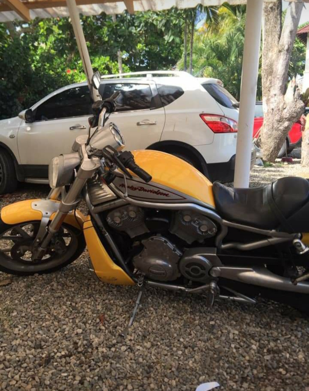 motores y pasolas - Harley davidson vrod