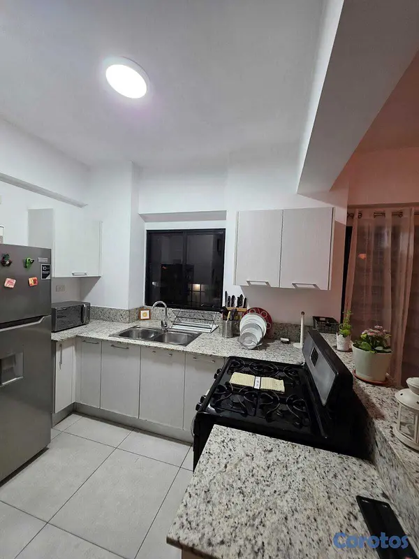 apartamentos - 🏡 Apartamento en alquiler en El Millón – US$950  V 13