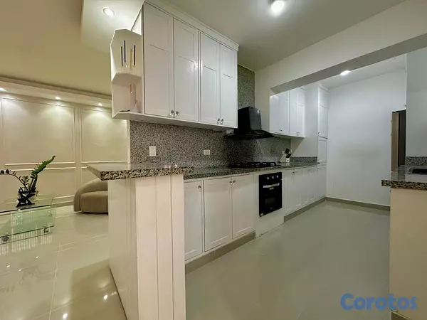 apartamentos - Acogedor apartamento piso 4, Alma Rosa I, Santo Do 18